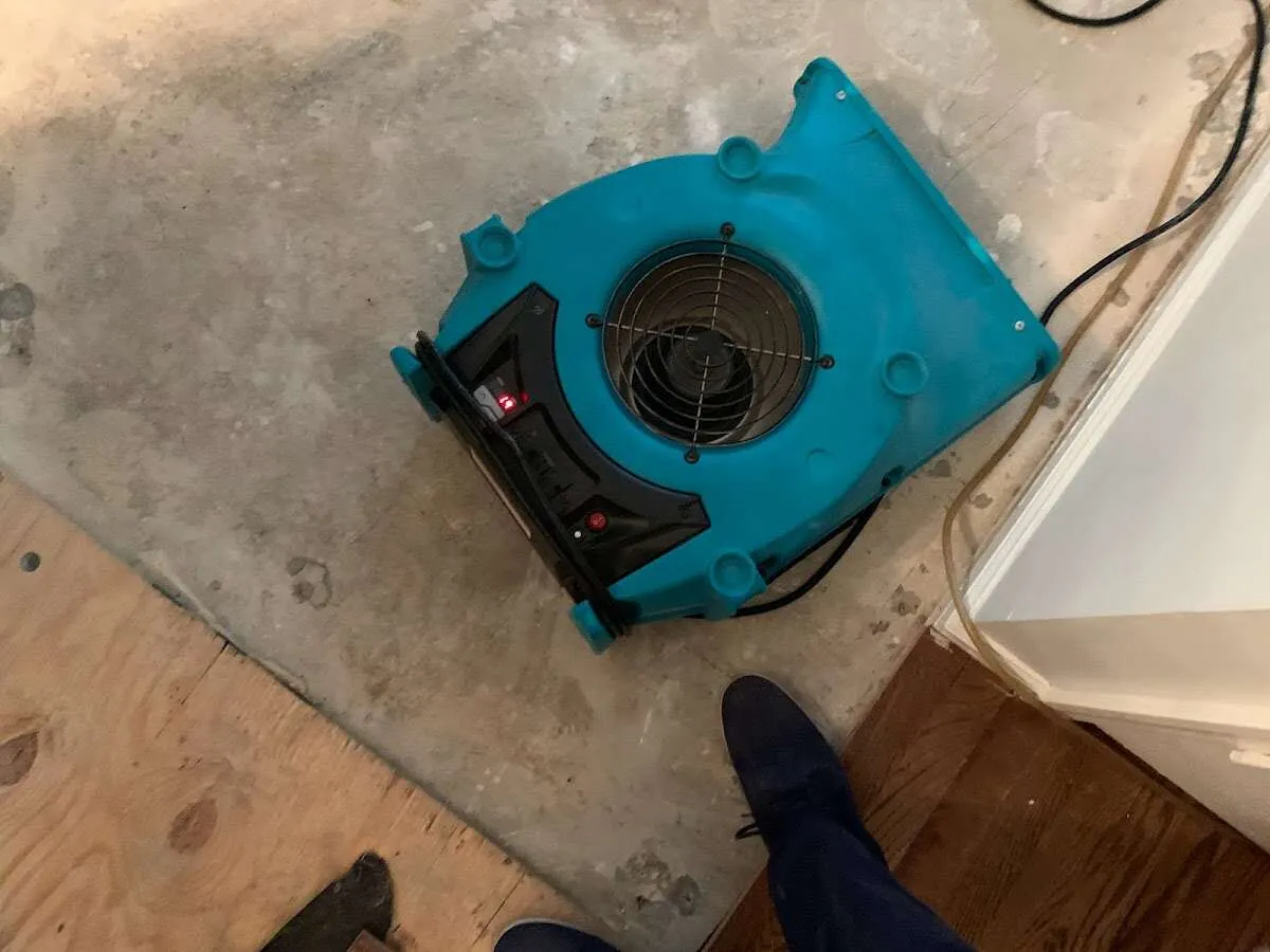 Air mover drying subfloor during Leak Detection & Repair in Rotonda